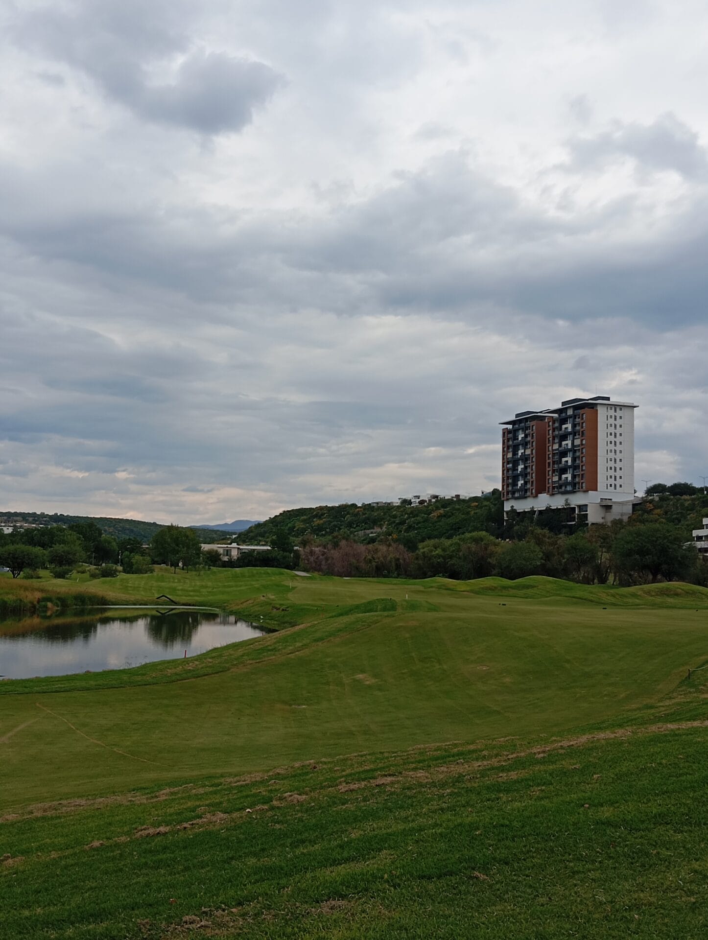 IMG_20241005_152852